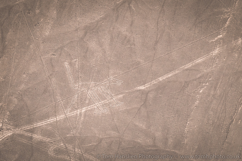 The Dog, Nazca Lines.