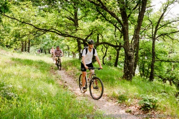 Speeding through the woods on the cycle-paths built and maintained by our guides Cornel and Sergiu.